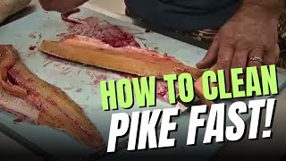 How to Clean Northern Pike FAST [upl. by Nodle]