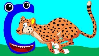 Learn the Alphabet Animals  Letter C  CHEETAH [upl. by Eerot]