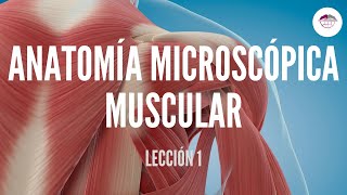 1 ANATOMÍA MICROSCÓPICA MUSCULAR FISIOLOGÍA MUSCULAR [upl. by Brezin129]