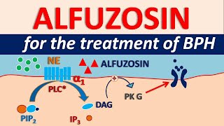 Alfuzosin HCl  Uses side effects amp precautions  For BPH [upl. by Penny249]