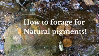 How to forage for Natural pigments [upl. by Fogel]