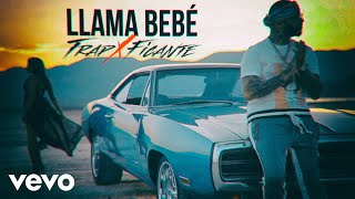 Farruko  Llama Bebé Audio [upl. by Teufert550]