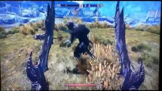 Skyrim How to do a Finishing Move every time [upl. by Charil930]