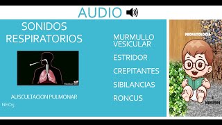 RUIDOS RESPIRATORIOS AUDIO [upl. by Odlanir]