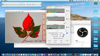 ImageJ Tutorial 1  Measure Leaf Disease Area amp Lesion Counts [upl. by Ehav747]