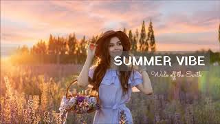 Lyrics  Vietsub SUMMER VIBE  Walk off the Earth [upl. by Adnilim]