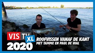 VIS TV XL 2020  Roofvissen van de kant [upl. by Eras674]