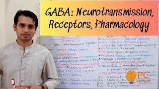 GABA Pharmacology Neurotransmission Receptors and Pharmacology  GABA Receptor Pharmacology [upl. by Ranit669]