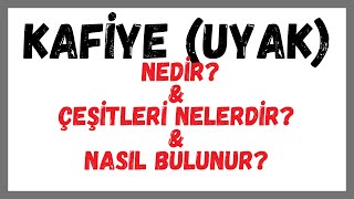 KAFİYE NEDİR KAFİYE ÇEŞİTLERİ NELERDİR KAFİYE NASIL BULUNUR [upl. by Dace]