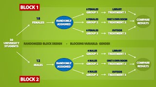 Types of Experimental Designs 33 [upl. by Blainey455]