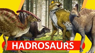 Hadrosaurs  The DuckBilled Dinosaurs  2020Outdated [upl. by Narud]