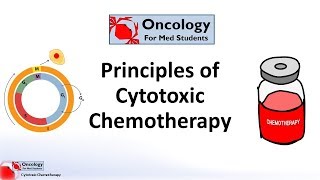 How Cells Divide and How Chemotherapy Works [upl. by Eenehs]