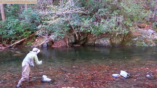 Fishing Deep Creek in GSMNP NC [upl. by Botnick]