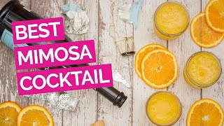 Best Mimosa Cocktail Recipe [upl. by Fries]