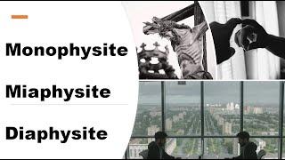 Monophysite Miaphysite Diaphysite [upl. by Josefina]