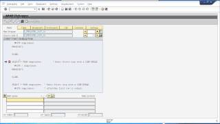 SAP ABAP Training  Debugging Your Programs Part 1 [upl. by Jt]