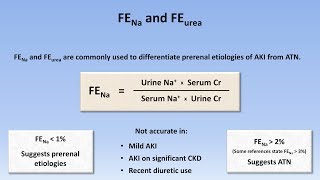 Acute Kidney Injury Part 23  Diagnostic Evaluation [upl. by Dyraj]