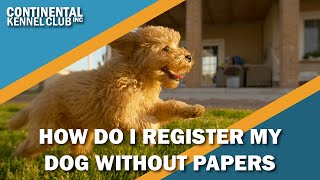 How Can I Register a Dog Without Papers [upl. by Anawik54]