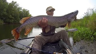 Big Pike Topwater Smash [upl. by Egidius]