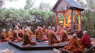 Pali Chanting In The Abhayagiri Buddhist Monastery  Theravada Buddhism [upl. by Christoper]