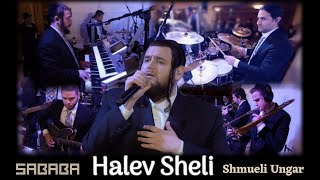 “Halev Sheli” Sababa Band Ft Shmueli Ungar  הלב שלי  סבבה עם שמילי אונגר REPOST [upl. by Arekahs]