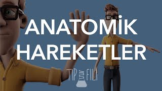 Anatomik hareketler 3d animasyonlu anlatım [upl. by Juliano]