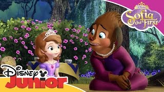 Sofia the First  Princess Charlotte  Official Disney Junior Africa [upl. by Alleciram]