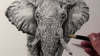 Cómo dibujar un Elefante [upl. by Ecinereb731]