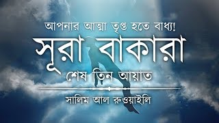 💖 আপনার অন্তর তৃপ্ত হতে বাধ্য┇ সূরা বাকারার শেষ তিন আয়াত┇Recited By Salem Ruwaili ┇An Nafee┇আন নাফী [upl. by Eserehc85]