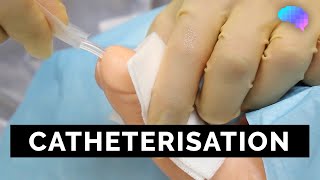 Catheterisation  OSCE Guide  UKMLA  CPSA  PLAB 2 [upl. by Pelaga]