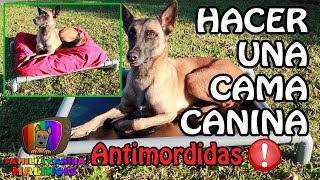 HACER una CAMA ANTIMORDIDAS ELEVADA para PERROS  Paso a paso FÁCIL Y RÁPIDO [upl. by Okeim]