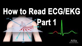 How to Read ECGEKG Part 1 Animation [upl. by Ettelrac367]