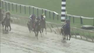 2015 Preakness Stakes American Pharoah [upl. by Ecneralc515]