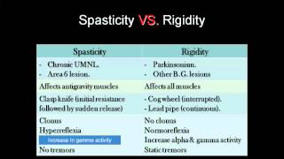 Spasticity vs Rigity amp Decerebrate vs Decorticate [upl. by Aihsot]