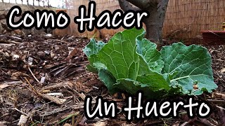 ¿Como Hacer un Huerto desde Cero Explicado Paso a Paso [upl. by Edniya899]