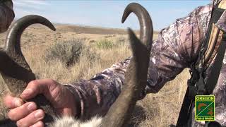 How to Hunt Pronghorn Hunting Pronghorn [upl. by Glogau]