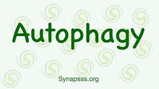 Autophagy definition mechanisms Macroautophagy [upl. by Hedelman]