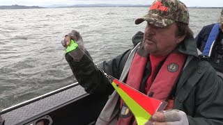 Salmon Trolling Setup Explained By Buzz Ramsey [upl. by Phox629]