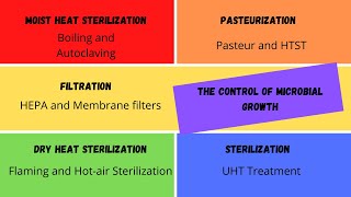 The Control of Microbial Growth How to Study Microbiology [upl. by Bergmans]