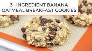 3INGREDIENT BANANA OATMEAL BREAKFAST COOKIES [upl. by Attegroeg]