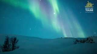 Northern Lights Iceland [upl. by Nellek]