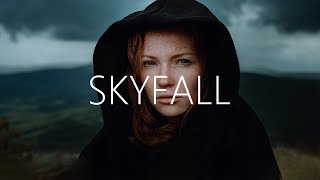 AYON  Skyfall Lyrics [upl. by Emmeline634]