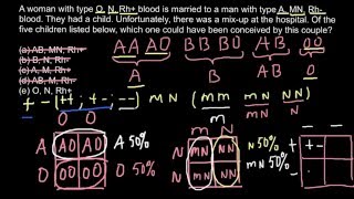 ABO MN RH blood groups explained [upl. by Nomed607]