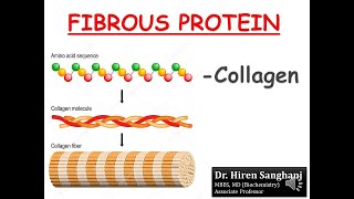 Biochemistry of Collagen  Structure II Synthesis II Associated disorders [upl. by Assirem]