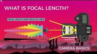 Camera Basics  Focal Length [upl. by Alma]