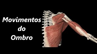 Movimentos do Ombro em 3D [upl. by Gnaoh]