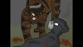 Tigerstar  Flawed Design [upl. by Arutak356]