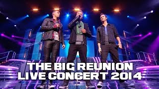 A1  EVERYTIME THE BIG REUNION LIVE CONCERT 2014 [upl. by Ecaj]