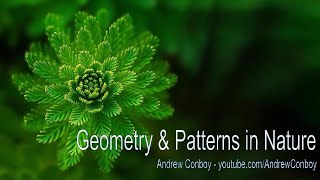 Patterns in Nature  Symmetry Fractals amp Geometry [upl. by Filmer741]