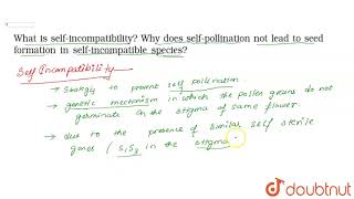 What is selfincompatibility Why does selfpollination not lead to seed formation [upl. by Xenia]